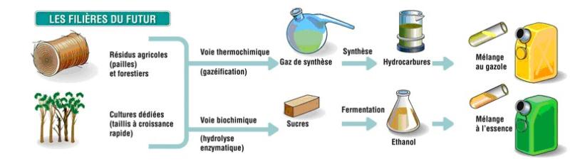 Schéma de production des filières du futur
